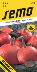 Tykev HOKKAIDO směs barev
