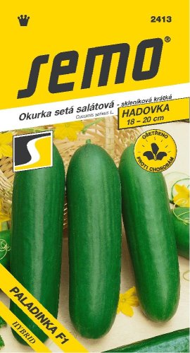 SEMO Okurka PALADINKA F1 hadká skleník i fóliovník
