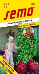 Jahodník TEMPTATION převislý