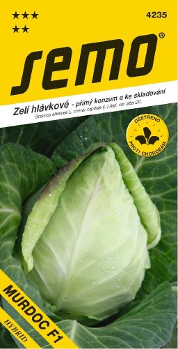SEMO Zelí MURDOC F1 špičaté