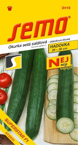 SEMO Okurka SUPERSTAR F1 hadká skleníková