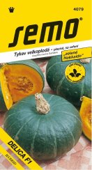 Tykev DELICA F1 zelená,plazivá