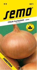 Cibule HIBERNA ozimá SM