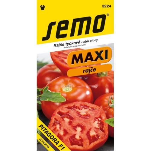 SEMO Rajče PITAGORA F1 maxi plody, tyčkové