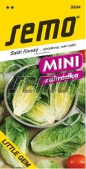 Salát LITTLE GEM římský, polní