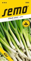 Cibule KAJ zimní, sečka, nať