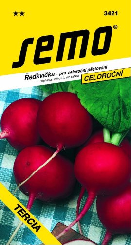Ředkvička TERCIA celoroční