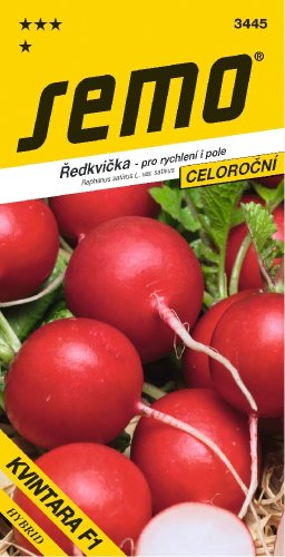 Ředkvička KVINTARA SM