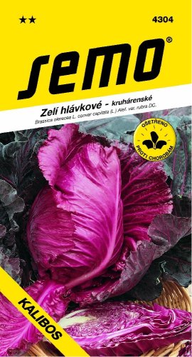 Zelí KALIBOS červené špičaté