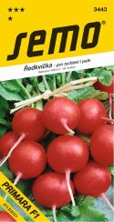 Ředkvička PRIMARA SM