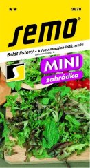 Salát SMĚS MLADÝCH LISTŮ MINI