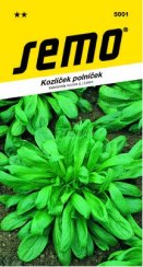 SEMO Kozlíček polníček LARGED LEAVED
