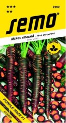 SEMO Mrkev PURPLE HAZE F1 fialová
