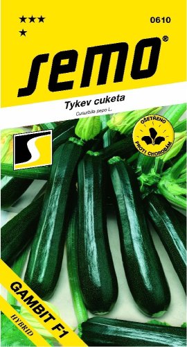 Tykev GAMBIT F1 tmavozelená