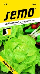 Salát MARATON jarní,podzimní