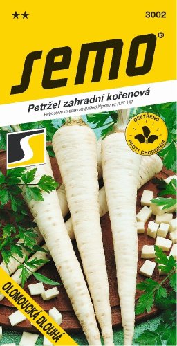 SEMO Petržel OLOMOUCKÁ pozdní