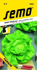 Salát FARAON polní, jarní a podzimní