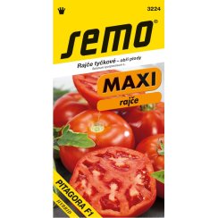 SEMO Rajče PITAGORA F1 maxi plody, tyčkové