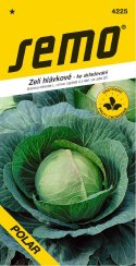 SEMO Zelí POLAR F1 pozdní, ke skladování