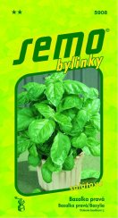 Bylinky Bazalka LETTUCE LEAF salátová
