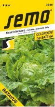 Salát BATAVUS (SM-BAT)
