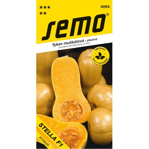 Tykev STELLA F1 muškátová