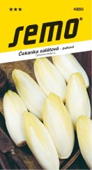 SEMO Čekanka MECHELSE MIDDELVROEG