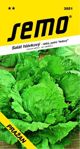 Salát PRAŽAN ledový, polní SM