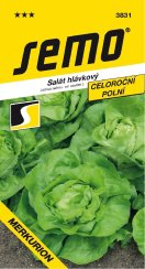Salát MERKURION PROFI, polní, celoroční, velká hlávka