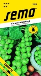 Kapusta LUNET F1 růžičková