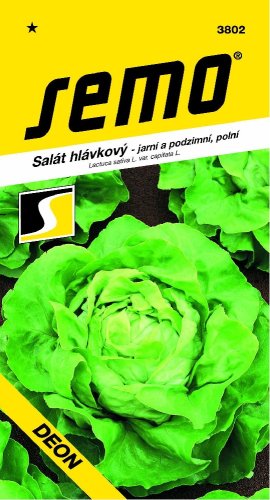 Salát DEON polní, jarní a podzimní
