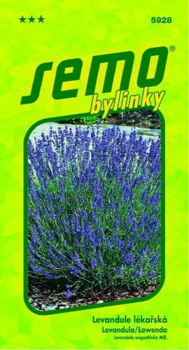 Bylinky Levandule lékařská SM