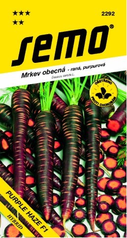 SEMO Mrkev PURPLE HAZE F1 fialová