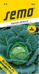 Kapusta BLISTRA F1 pozdní SM
