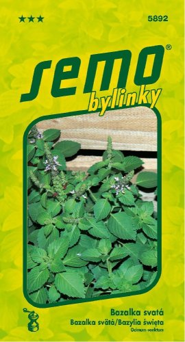 Bylinky Bazalka THULSI ( SVATÁ ), zelená, antioxidační účinky