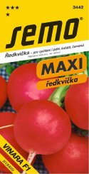 Ředkvička VINARA F1 MAXI SM