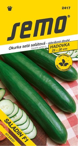SEMO Okurka SALADIN F1 hadká skleníková vhodná i do fóliovníku