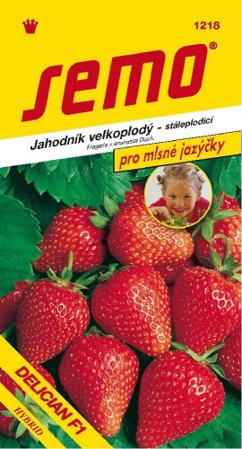 Jahodník DELICIAN F1 stáleplod