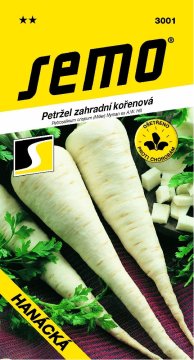 Petržel