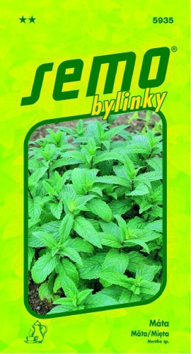 Bylinky Máta