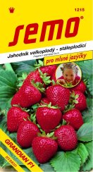 Jahodník GRANDIAN F1 stáleplod