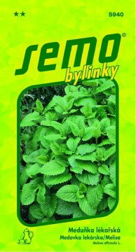 Bylinky, okrasné rostliny