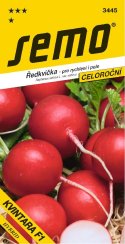 Ředkvička KVINTARA SM