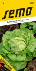 Salát DĚTENICKÁ ATRAKCE polní, letní, střední hlávka