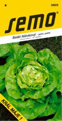 Salát KRÁL MÁJE jarní,polní