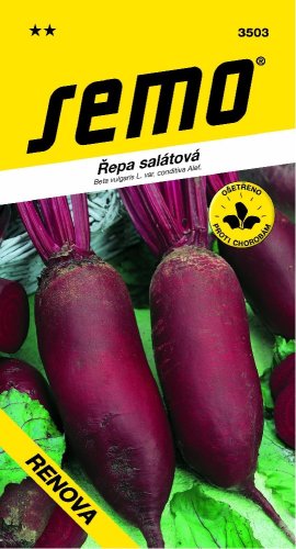 Řepa RENOVA polodlouhá SM
