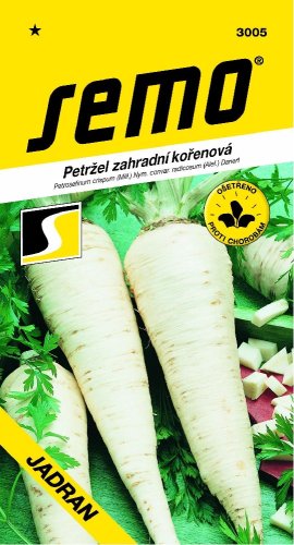 SEMO Petržel JADRAN středně raná