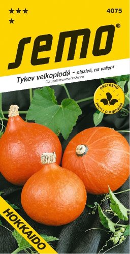 Tykev HOKKAIDO ORANGE oranžová