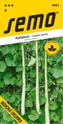 SEMO Kalabasa LAGENARIA - Indická okurka, čeleď tykvovité
