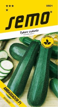 Tykev